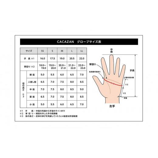 ふるさと納税 服 男 香川県 さぬき市 ドライビンググローブ カカザン フルフィンガー サイズ：L サイズ：Lの画像