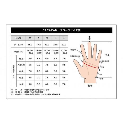 ふるさと納税 服 男 香川県 さぬき市 ライディンググローブ カカザン バイク用 カラー：ブラック×ブルー／サイズ：LL (スリーシーズン向け) ブラック×ブルー…の画像