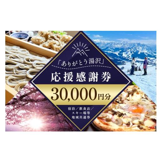 ふるさと納税 高級宿 新潟県 湯沢町 「ありがとう湯沢」応援感謝券 