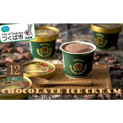 ふるさと納税 茨城県 つくば市 チョコレートアイスクリーム(122ml×12個)[離島・沖縄配送不可][アイスクリーム チョコレート アイス チョコレートアイス チ…
