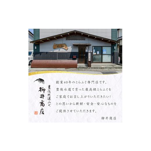 ふるさと納税 フグ 少なからず県 佐伯市  着日決する至要たる 豊後とらふぐ 刺身 ポン酢 香辛料付き添い人 仕かける (4-5人前) とらふぐ ふぐ フグ ふぐ刺し フグ刺し ふぐ刺身 フグ…