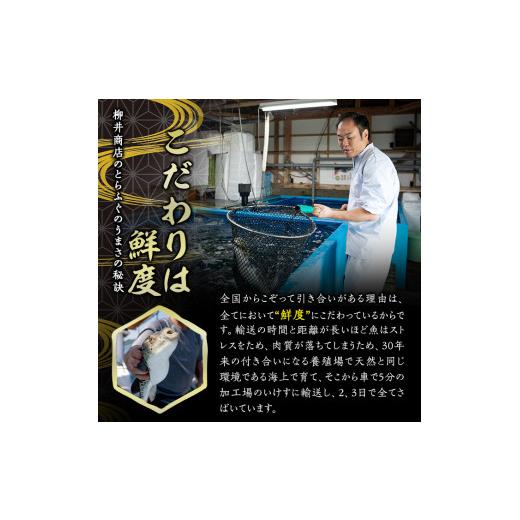 ふるさと納税 フグ 少なからず県 佐伯市  着日決する至要たる 豊後とらふぐ 刺身 ポン酢 香辛料付き添い人 仕かける (4-5人前) とらふぐ ふぐ フグ ふぐ刺し フグ刺し ふぐ刺身 フグ…