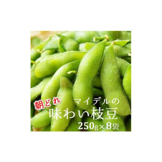 ふるさと納税 豆類 枝豆 山形県 三川町 道の駅マイデルの味わい枝豆(250g×8袋) 8月中旬頃〜9月配送