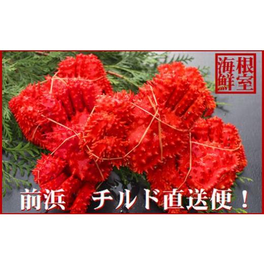 ふるさと納税 カニ 花咲ガニ 北海道 根室市 A-57052 北海道根室産 茹でたて花咲ガニ5〜6尾(計1.6kg前後)(チルド便)
