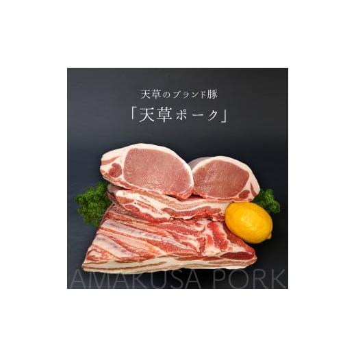 ふるさと納税 熊本県 苓北町 【定期便3回】坂西のみそ豚 8枚×3回 定期便3回