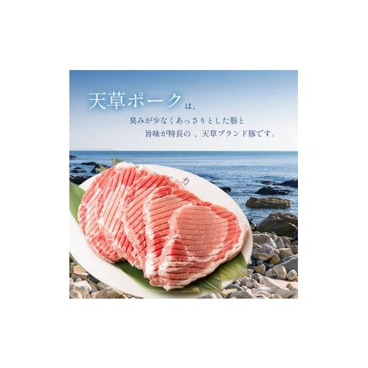ふるさと納税 熊本県 苓北町 【定期便3回】坂西のみそ豚 8枚×3回 定期便3回