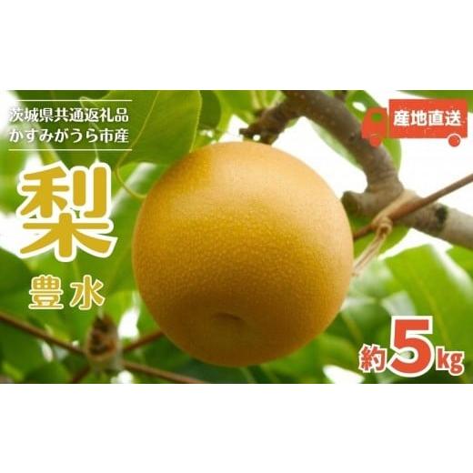 ふるさと納税 梨 茨城県 利根町 2026年先行予約 梨 豊水 5kg (茨城県共通返礼品・かすみがうら市産) / 梨 なし 果物 フルーツ 先行予約 豊水 5kg