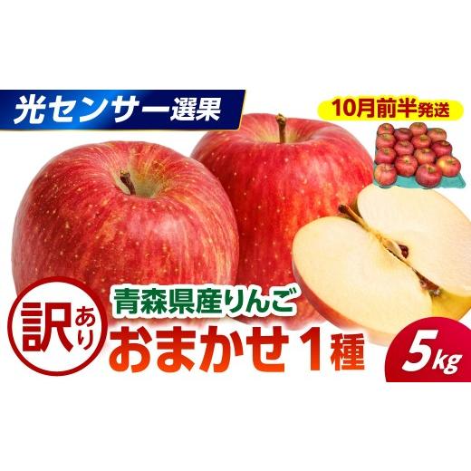 ふるさと納税 りんご 青森県 五所川原市 2026年10月前半発送 訳あり りんご 約5kg 品種おまかせ1種 光センサー選果保証 青森県産 10月前半発送(1日〜15日)