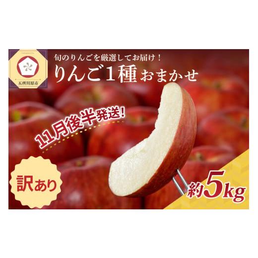 ふるさと納税 りんご 青森県 五所川原市 2025年11月後半発送 訳あり りんご 青森産 約5kg 品種おまかせ1種 11月後半発送(16日〜末日)