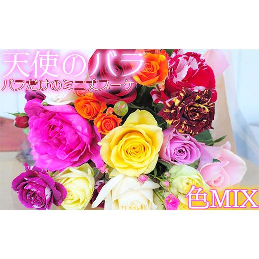 ふるさと納税 花・苗木 花束 大分県 杵築市 天使のバラ 薔薇だけのミニ丈ブーケ(色MIX) 141-001 色MIX