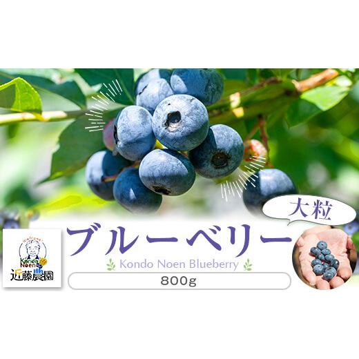 ふるさと納税 果物類 鹿児島県 薩摩川内市 AS-589 先行予約 特選ブルーベリー 800g(100g×8) 7月下旬以降順次発送 (B-2)