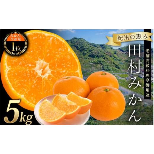 ふるさと納税 果物類 みかん 和歌山県 すさみ町 先行予約 高級ブランド 田村みかん 5kg 2026年11月下旬頃〜2027年1月下旬頃に順次発送予定(お届け日指定不可)…