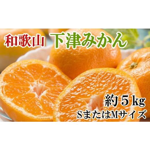 ふるさと納税 果物類 みかん 和歌山県 すさみ町 産直・秀品 和歌山下津みかん約5kg(SサイズまたはMサイズのいずれかをお届け) 2026年11月中旬〜2027年1月中旬…