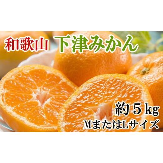 ふるさと納税 果物類 みかん 和歌山県 すさみ町 産直・秀品 和歌山下津みかん約5kg(MサイズまたはLサイズのいずれかをお届け) 2026年11月中旬〜2027年1月…