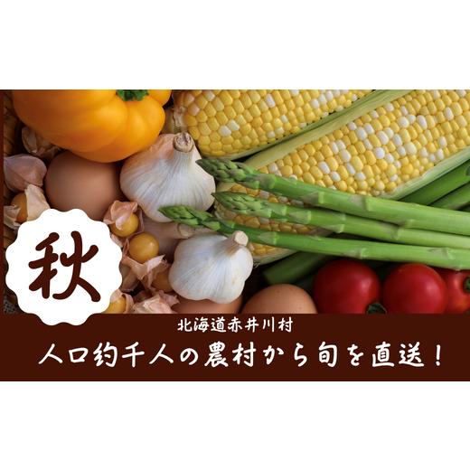 ふるさと納税 セット・詰合せ 北海道 赤井川村 秋 産地直送 9月旬の野菜セット(野菜や加工品のお店かしづく)