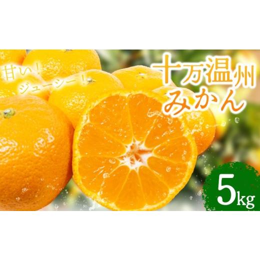 ふるさと納税 果物類 みかん 鹿児島県 さつま町 十万温州みかん 5kg 北さつま農協[1月上旬-1月末頃出荷] 鹿児島県 さつま町 送料無料 柑橘 みかん 温州みか…
