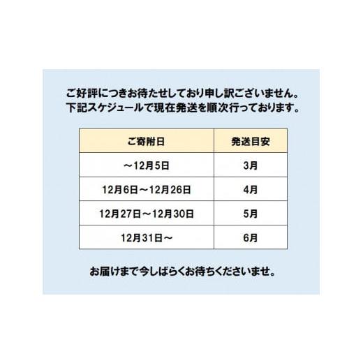 ふるさと納税 佐賀県 みやき町 FM029_【大好評につき最大半年待ち】佐賀牛入り熟成ハンバーグ18個【MSH20】｜furusatochoice｜04