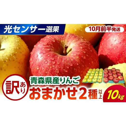 ふるさと納税 りんご 青森県 五所川原市 2026年10月前半発送 訳あり りんご 約10kg 品種おまかせ2種 光センサー選果保証 青森県産 10月前半発送(1日〜15日…