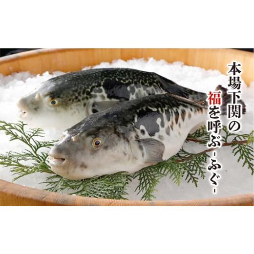 ふるさと納税 フグ 山口県 下関市 最高級 国産天然とらふぐ刺 鶴亀盛り 10人前 てっさ フグ 本場フグ刺し 河豚 関門ふぐ 高級魚 鮮魚 本場 下関 山口 冬 旬 お…_3