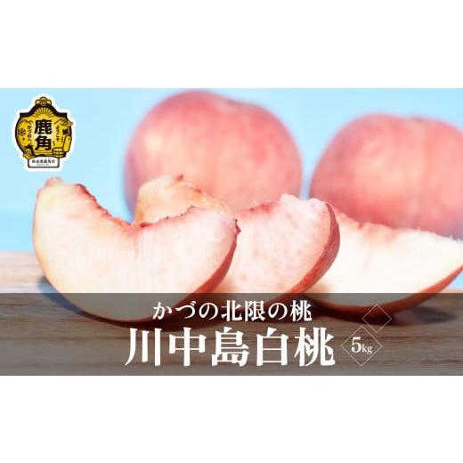 ふるさと納税 もも 秋田県 鹿角市 [ 先行予約 ]令和8年産 果汁たっぷり かづの北限の桃「川中島白桃」約5kg(15玉前後入り)●2026年9月上旬発送開始 佐藤秀…