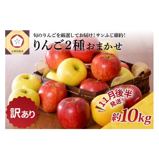 ふるさと納税 りんご 青森県 五所川原市 2025年11月後半発送 訳あり りんご 約10kg サンふじ確約 青森産 品種おまかせ2種以上 11月後半発送(16日〜末日)