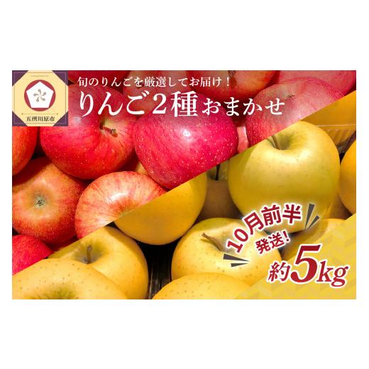 ふるさと納税 りんご 青森県 五所川原市 2026年10月前半発送 りんご 青森産 約5kg 品種おまかせ2種以上 贈答用 特選〜特秀 10月前半発送(1日〜15日)