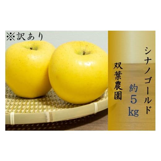 ふるさと納税 りんご 長野県 辰野町 265 訳あり りんご シナノゴールド 5kg 双葉農園
