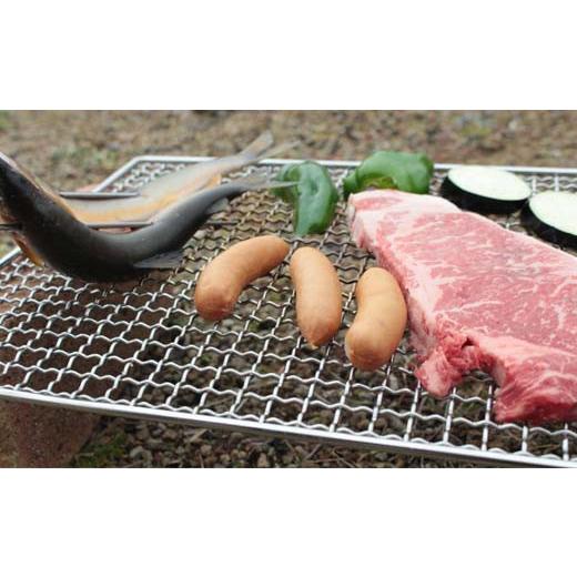 ふるさと納税 アウトドアグッズ 岐阜県 関市 刃物屋が造ったバーベキュー鉄板＆焼網 D30-12_6