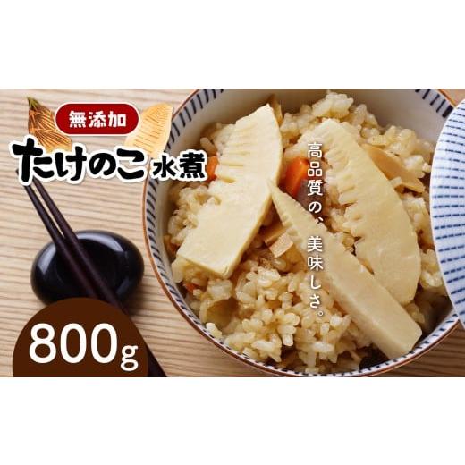 ふるさと納税 野菜類 熊本県 和水町 無添加高品質 タケノコ 800g | 熊本県 熊本 くまもと 和水町 なごみまち なごみ たけのこ 竹の子 筍 水煮 パック 小分け