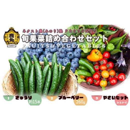 ふるさと納税 セット・詰合せ 秋田県 鹿角市 [ 先行予約 ]令和8年産 ネクスト農(みのり)塾 PRESENTS 旬果菜詰め合わせセット「きゅうり/生ブルーベリー/…