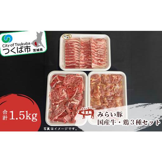 ふるさと納税 【バナナ】 つくば市 村下商事のおすすめバラエティパック1.5kg(牛・豚・ウインナー) 🎔
