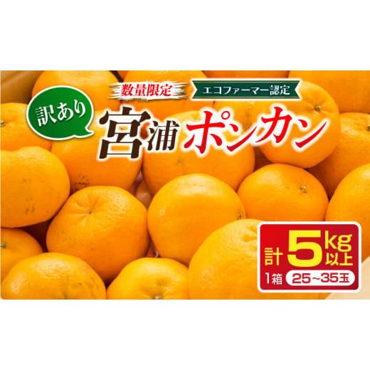 ふるさと納税 果物類 みかん 宮崎県 日南市 年内発送 訳あり 宮浦 ポンカン 計5kg以上 先行予約 期間限定 数量限定 フルーツ 果物 くだもの 柑橘 みかん 蜜柑 …