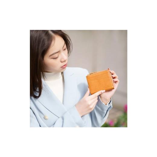 ふるさと納税 財布 兵庫県 豊岡市 豊岡財布 anti-mode style OLIVE Compact Wallet(AW700)タン タン