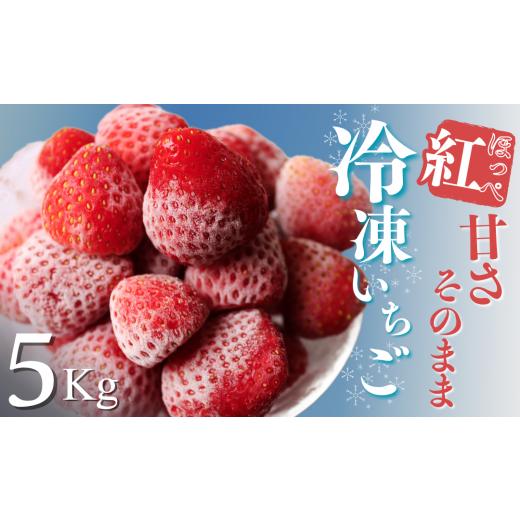 ふるさと納税 いちご 静岡県 南伊豆町 冷凍いちご 紅ほっぺ こだわり いちご フローズン 冷凍 イチゴ strawberry 苺 新鮮 朝摘み 朝採り 産直 産地直送 安心安…