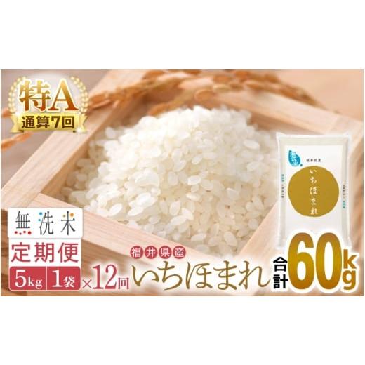 ふるさと納税 無洗米 福井県 越前町 特A通算7回 お米 令和7年産 無洗米 定期便 12回 いちほまれ 5kg × 12回(計60kg)福井県産 米 コメ kome 12ヶ月連続 計60…