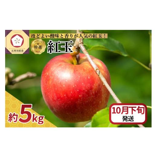 ふるさと納税 りんご 青森県 五所川原市 2025年10月下旬発送 特選 りんご 5kg 紅玉 青森 10月下旬発送(21日〜末日)