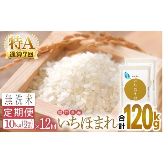 ふるさと納税 無洗米 福井県 越前町 特A通算7回 お米 令和7年産 無洗米 定期便 12回 いちほまれ 10kg × 12回(計120kg)福井県産 米 コメ kome 12ヶ月連続 計…