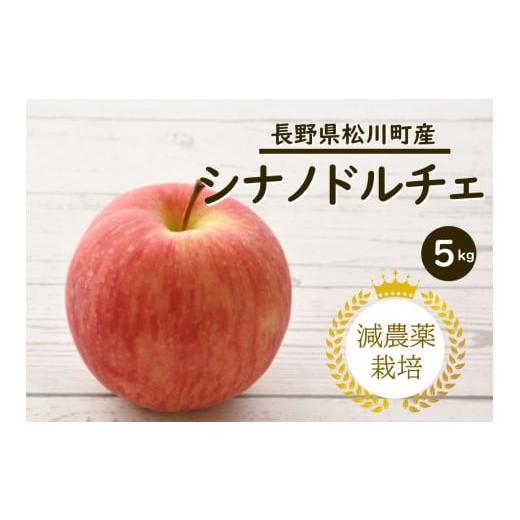 ふるさと納税 長野県 松川町 YN13-24A りんご シナノドルチェ 約5kg 減農薬栽培 秀品／9月中旬頃から配送予定｜furusatochoice｜02