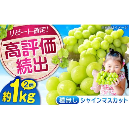 ふるさと納税 ぶどう マスカット 広島県 福山市 沼隈ぶどう シャインマスカット 約1kg(2房) 9月上旬〜9月下旬頃発送 福山市/福山市農業協同組合 先行予約 数…