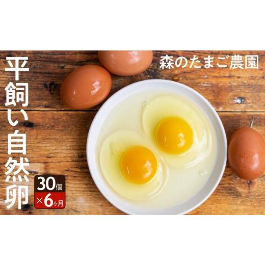 ふるさと納税 卵（鶏、烏骨鶏等） 岐阜県 高山市 6ヶ月 卵 定期便 平飼い 自然卵 30個 セット たまご 卵 飛騨高山 森のたまご農園 LW103_1