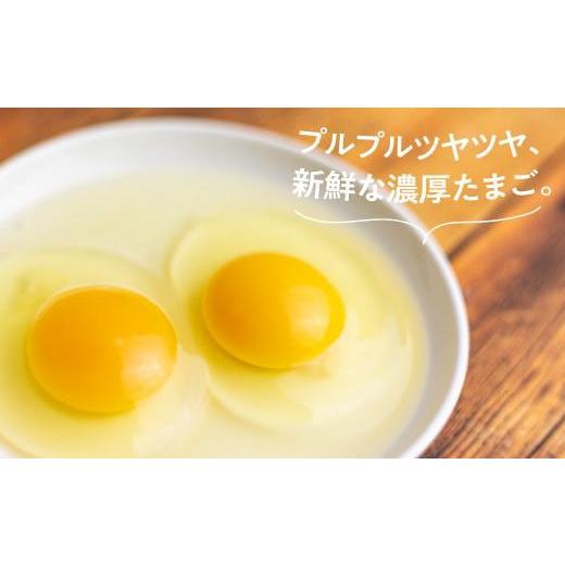 ふるさと納税 卵（鶏、烏骨鶏等） 岐阜県 高山市 6ヶ月 卵 定期便 平飼い 自然卵 30個 セット たまご 卵 飛騨高山 森のたまご農園 LW103_2