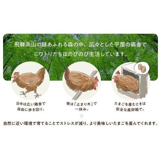 ふるさと納税 卵（鶏、烏骨鶏等） 岐阜県 高山市 6ヶ月 卵 定期便 平飼い 自然卵 30個 セット たまご 卵 飛騨高山 森のたまご農園 LW103_5