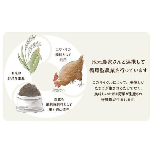 ふるさと納税 卵（鶏、烏骨鶏等） 岐阜県 高山市 6ヶ月 卵 定期便 平飼い 自然卵 30個 セット たまご 卵 飛騨高山 森のたまご農園 LW103_7