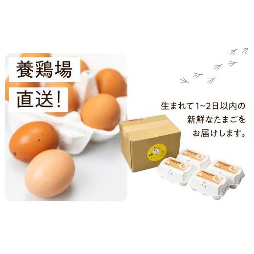 ふるさと納税 卵（鶏、烏骨鶏等） 岐阜県 高山市 6ヶ月 卵 定期便 平飼い 自然卵 30個 セット たまご 卵 飛騨高山 森のたまご農園 LW103_8