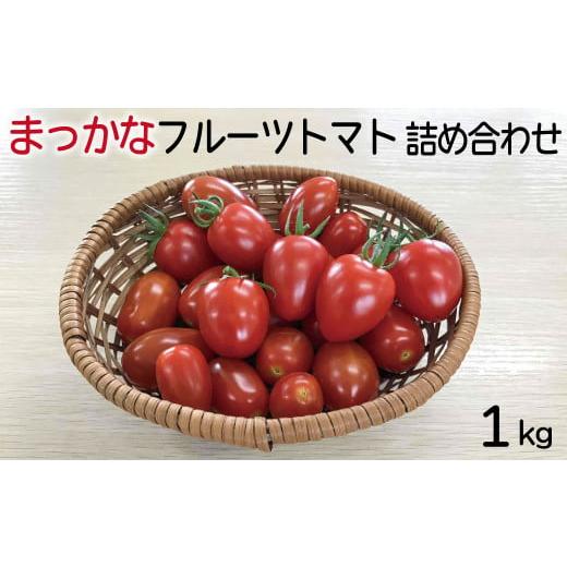 ふるさと納税 島根県 安来市 まっかなフルーツトマト詰め合わせ 1kg[完熟トマト 樹上完熟]