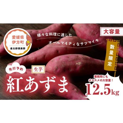 ふるさと納税 愛媛県 伊方町 [先行予約][数量限定]紅あずま 生芋(12.5kg)| 芋 さつまいも サツマイモ スイートポテト ※2024年12月上旬〜2025年4月下…