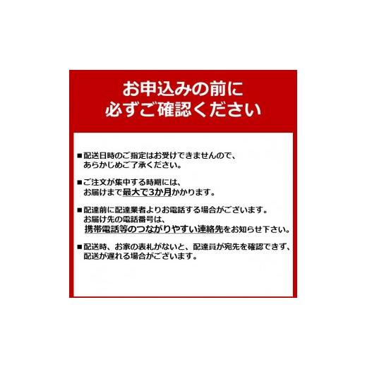 ふるさと納税 電化生産物 大阪府 大東市 象印 配管＆つや消しなし ふとんかわき切る機 RFFB20-WA 白いこと