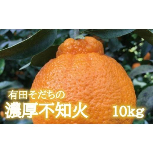 ふるさと納税 みかん・柑橘類 デコポン 和歌山県 すさみ町 先行予約 有田育ちの濃厚 不知火 ( デコポン と同品種)( 訳あり 家庭用 ) 10kg+200g(痛み補償分) …