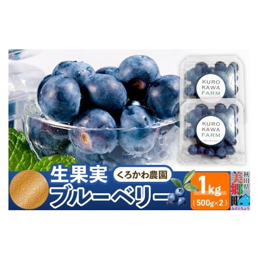 ふるさと納税 果物類 秋田県 美郷町 くろかわ農園 ブルーベリー 1kg(500g×2パック)摘みたて 秋田県美郷町 摘みたて ブルーベリー 新鮮 その他のフルーツの…