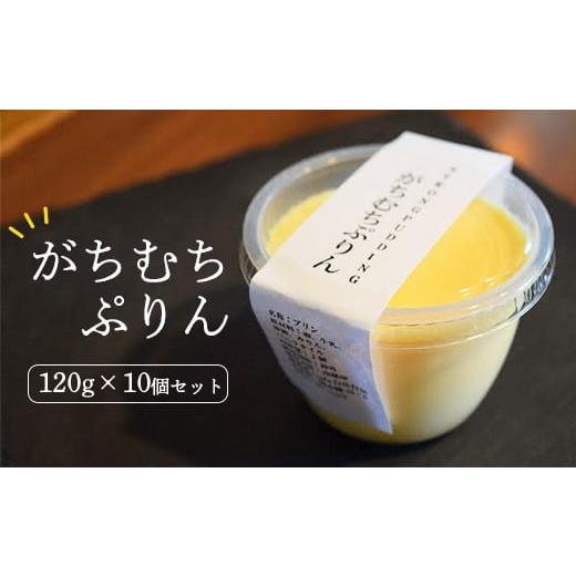 ふるさと納税 菓子 プリン 岩手県 一関市 ガチムチプリン120g×10個セット カラメルなし カラメルなし